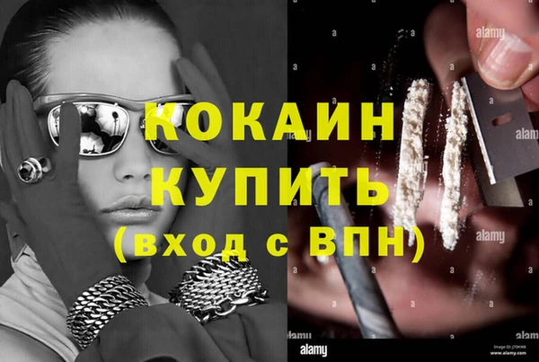 прущие грибы Богородск