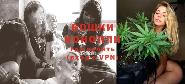 молекула духа Белокуриха