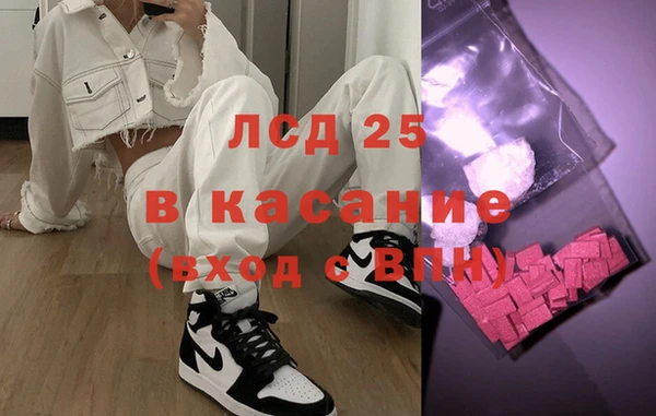 прущие грибы Богородск