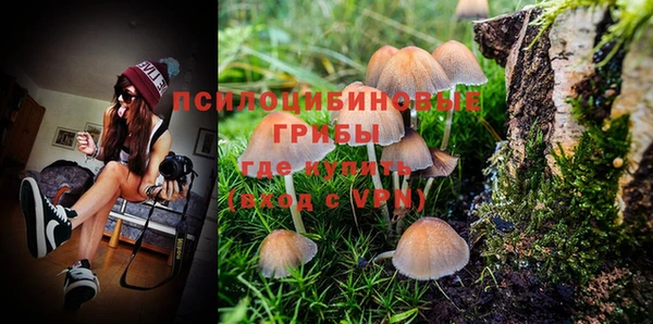винт Белоозёрский
