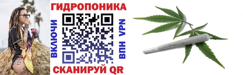 где найти наркотики  Кола  Шишки марихуана гибрид 